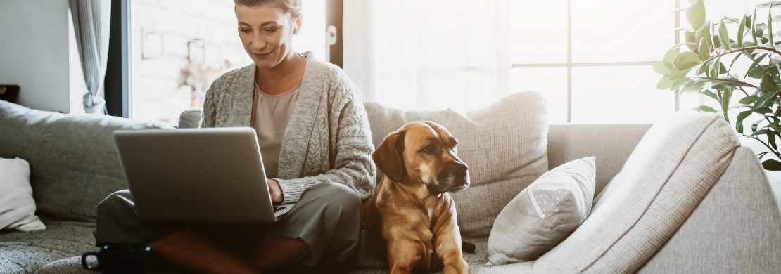 mulher sentada no sofa com um laptop no colo e um cachorro ao lado